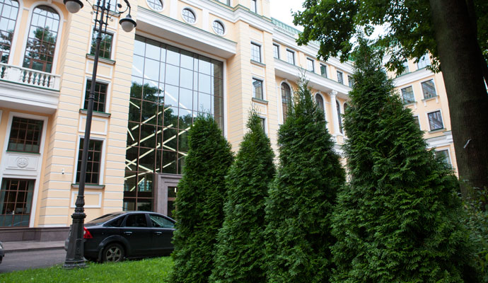 Компания «Лукойл» окружила свой офис-дворец на Аптекарской набережной красавицами туями из «Алексеевской Дубравы»