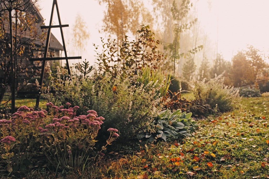 autumn_garden.jpg