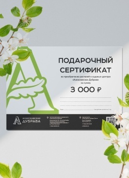 Подарочный сертификат электронный на 3000 рублей