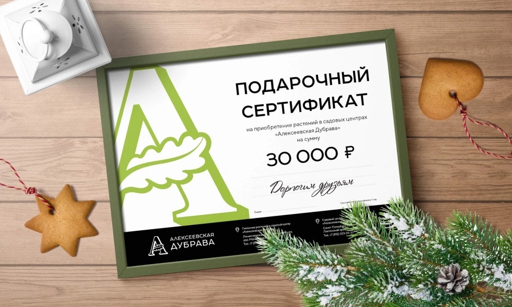 Подарочный сертификат электронный - продажа саженцев из питомника