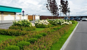 «Алексеевская Дубрава» провела шеф-надзор за посадками в «Outlet Village Пулково»