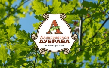 В новое десятилетие с новым именем!