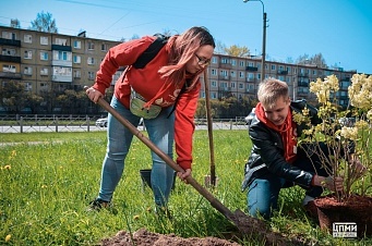 Сад памяти в честь дня Победы