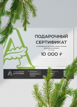 Подарочный сертификат электронный на 10000 рублей