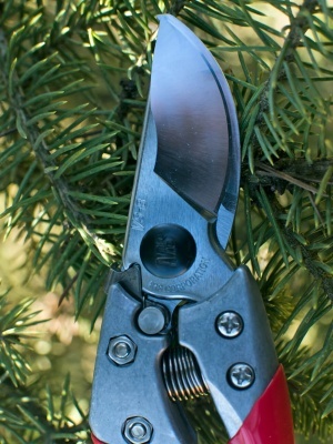 Секатор ARS VS-8 XZ