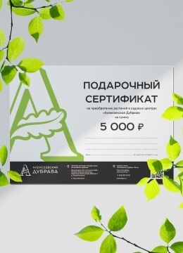 Подарочный сертификат электронный на 5000 рублей