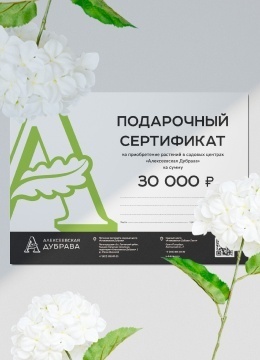 Подарочный сертификат электронный на 30000 рублей
