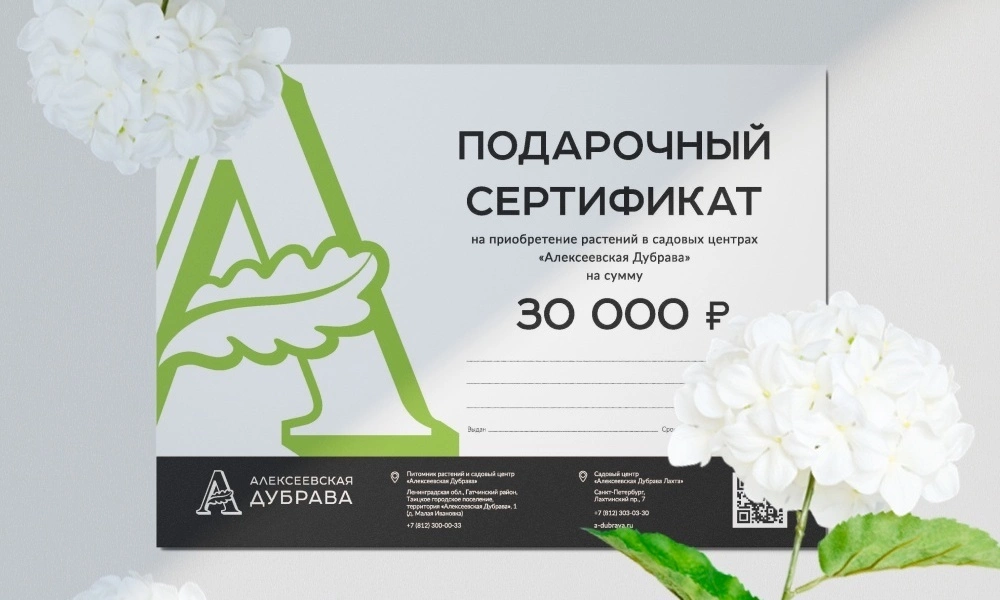 Подарочный сертификат электронный - саженцы из питомника Алексеевская Дубрава