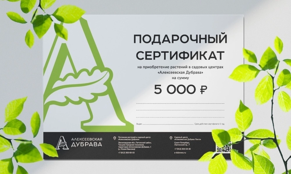 Подарочный сертификат электронный - саженцы из питомника Алексеевская Дубрава
