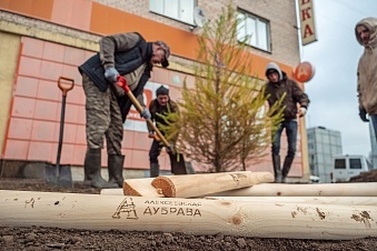 В поселке Лебяжье высадили деревья и провели субботник