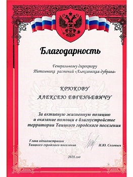 Соловьев И. Ю., глава администрации Таицкого городского поселения